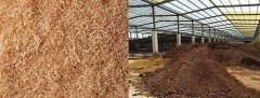 华之强告诉你怎样用木屑发酵成为生物有机肥
